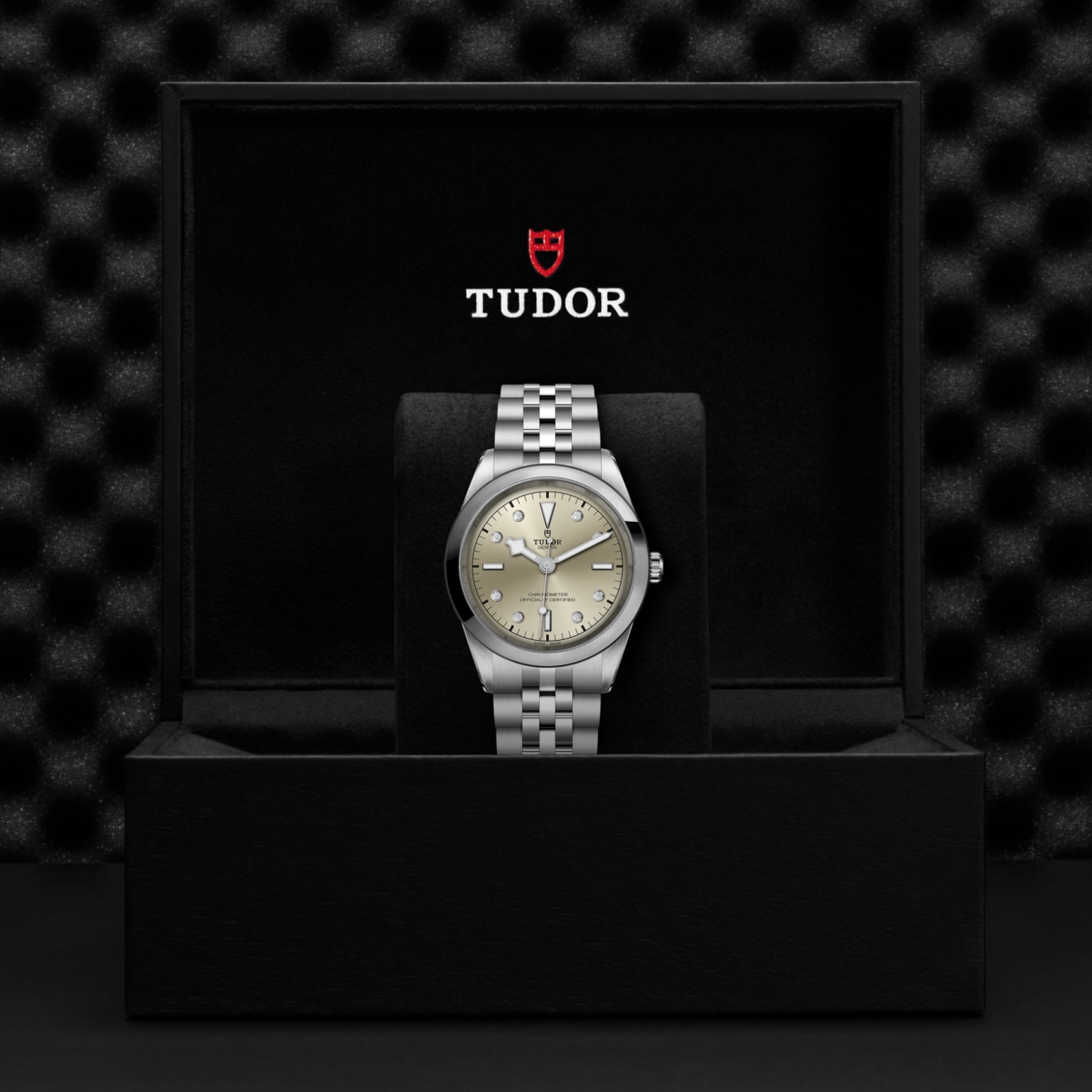 TUDOR Black Bay 31/36/39/41 Watch - M79680-0006 at Tiny Jewel Box