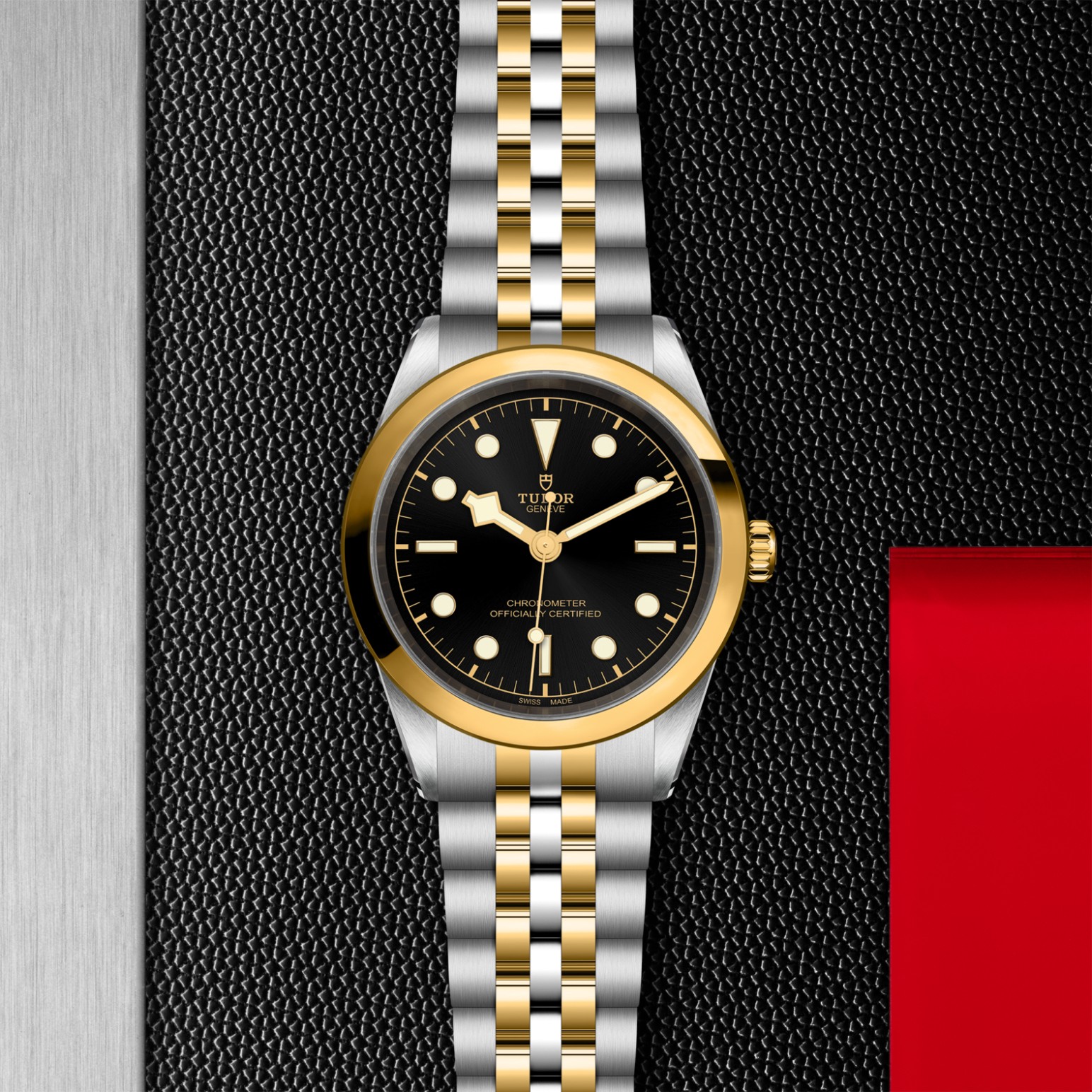 TUDOR Black Bay 31/36/39/41 S&G Watch - M79683-0001 at William Barthman