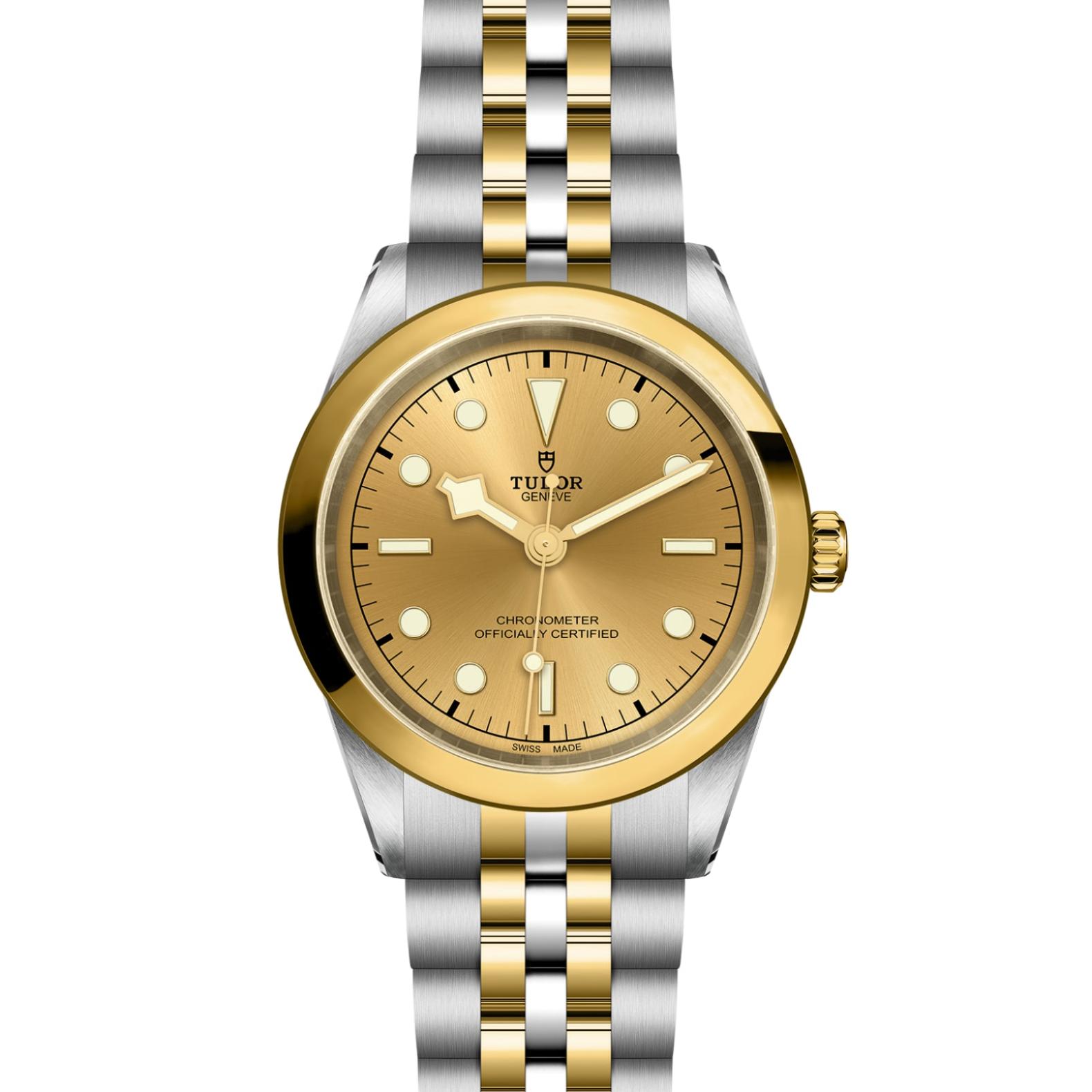 TUDOR Black Bay 31/36/39/41 S&G Watch - M79683-0005 at Tiny Jewel Box