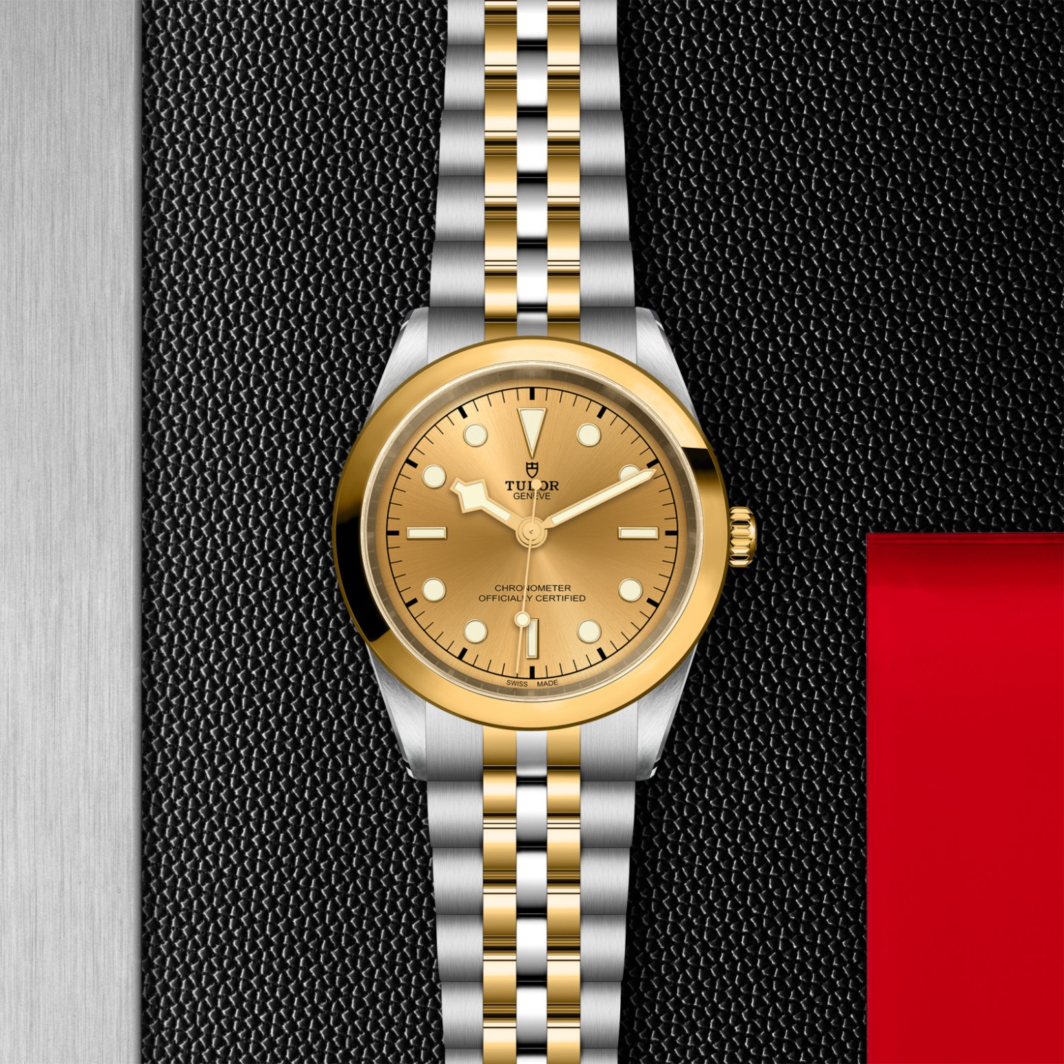 TUDOR Black Bay 31/36/39/41 S&G Watch - M79683-0005 at Tiny Jewel Box