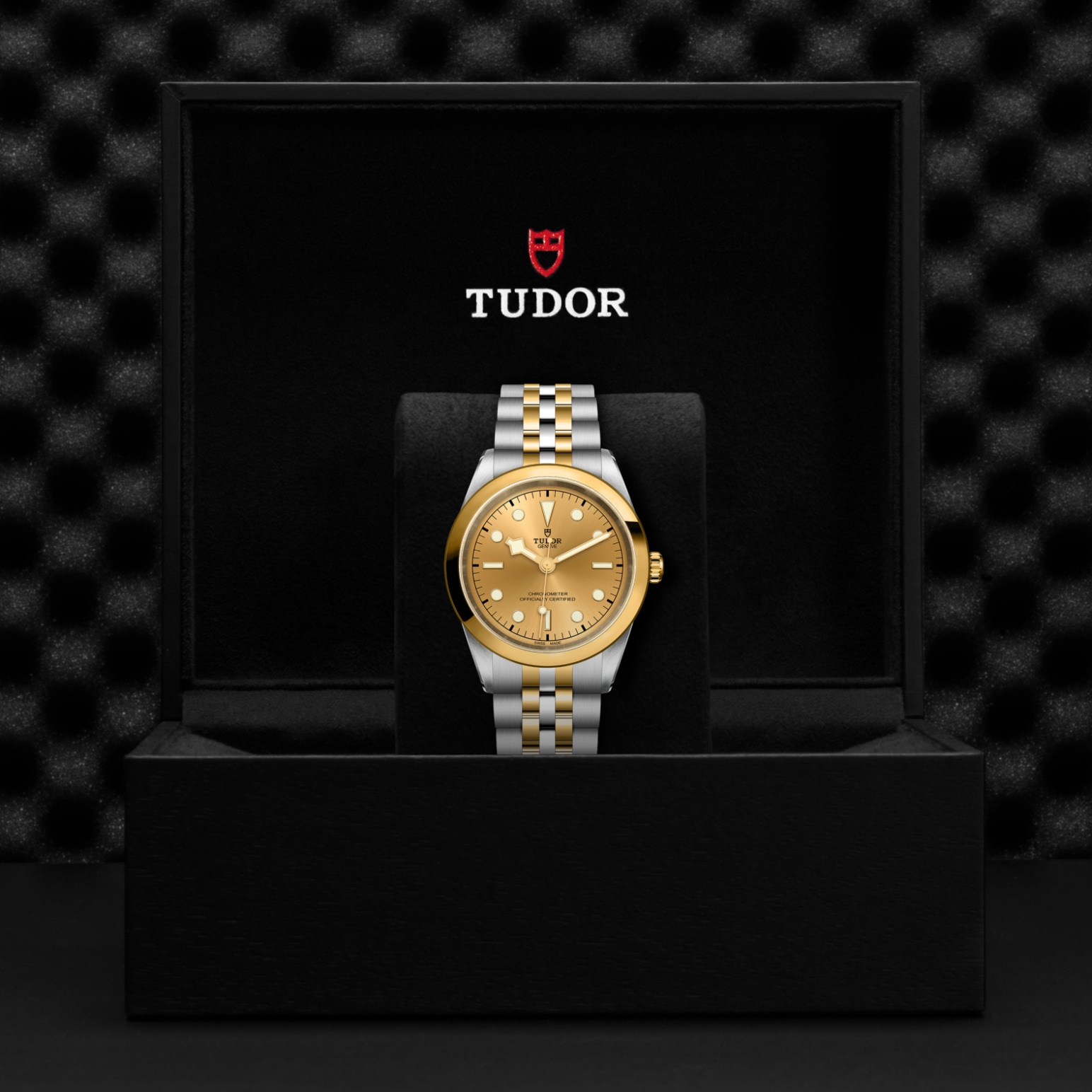 TUDOR Black Bay 31/36/39/41 S&G Watch - M79683-0005 at Tiny Jewel Box