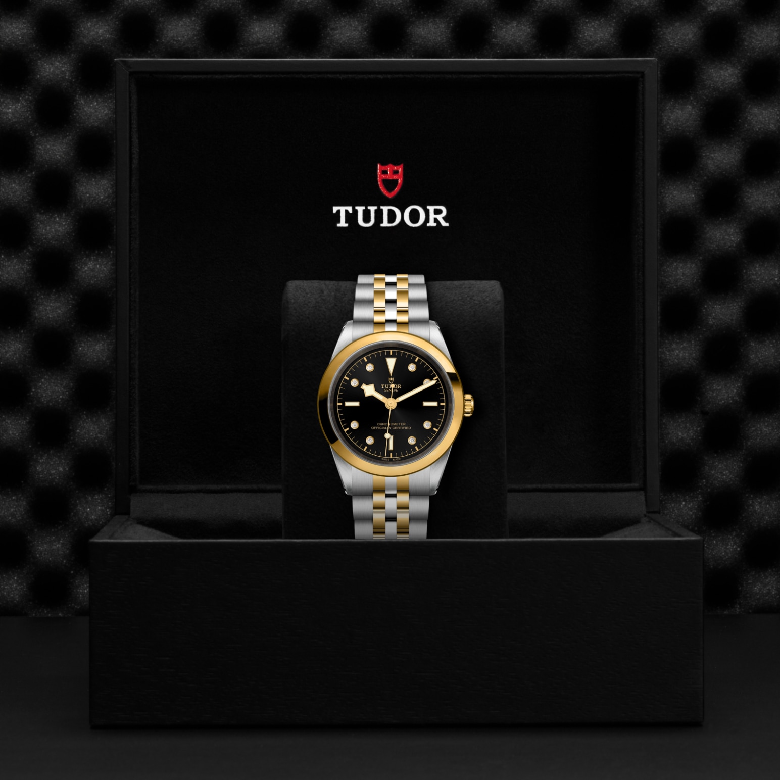 TUDOR Black Bay 31/36/39/41 S&G Watch - M79683-0006 at A.R. Morris Jewelers