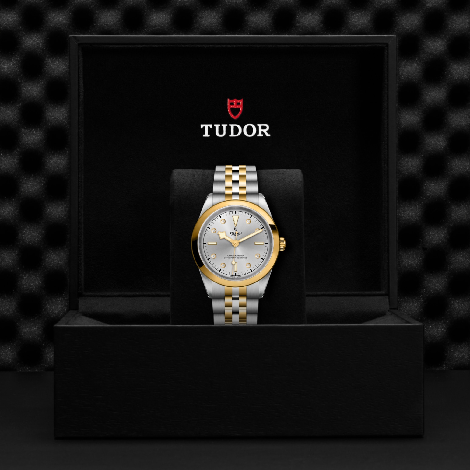 TUDOR Black Bay 31/36/39/41 S&G Watch - M79683-0007 at Tiny Jewel Box