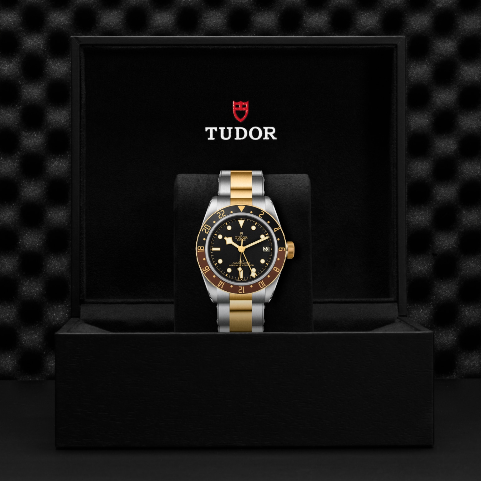 TUDOR Black Bay GMT Watch - M79833MN-0001 at A.R. Morris Jewelers