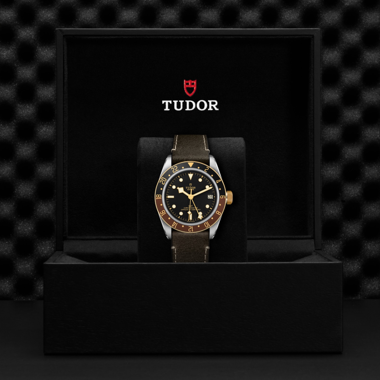 TUDOR Black Bay GMT Watch - M79833MN-0003 at A.R. Morris Jewelers