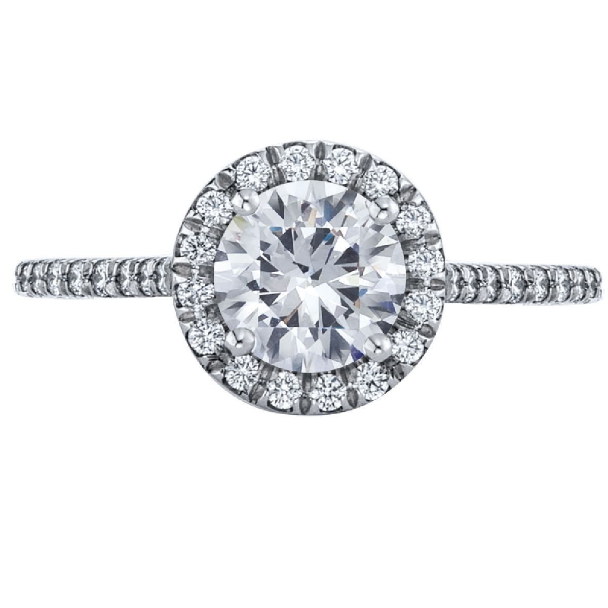 Platinum Micro-Pav&eacute Halo