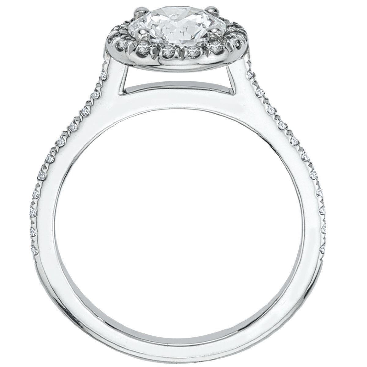 Platinum Micro-Pav&eacute Halo