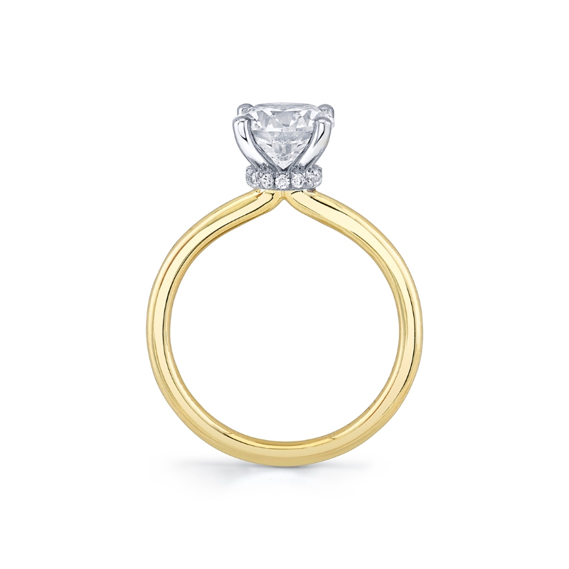 Round Cut Solitaire Hidden Halo Collar Engagement Ring - Nova