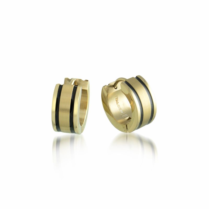 Italgem Steel Earrings