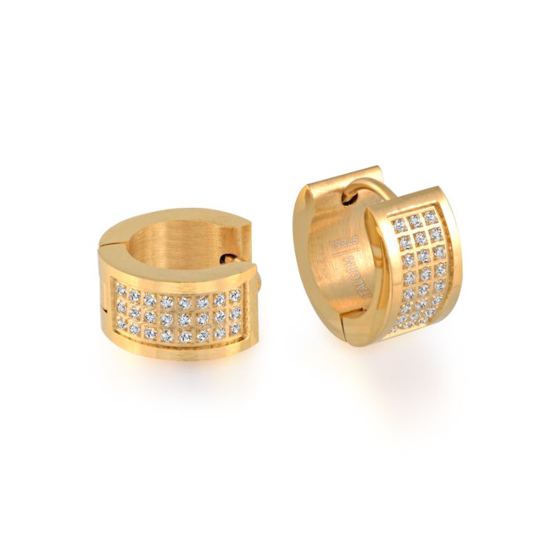 Italgem Steel Earrings