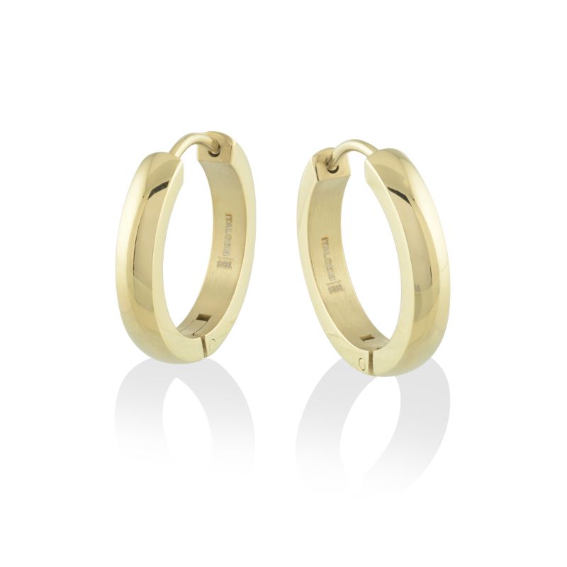 Italgem Steel Earrings