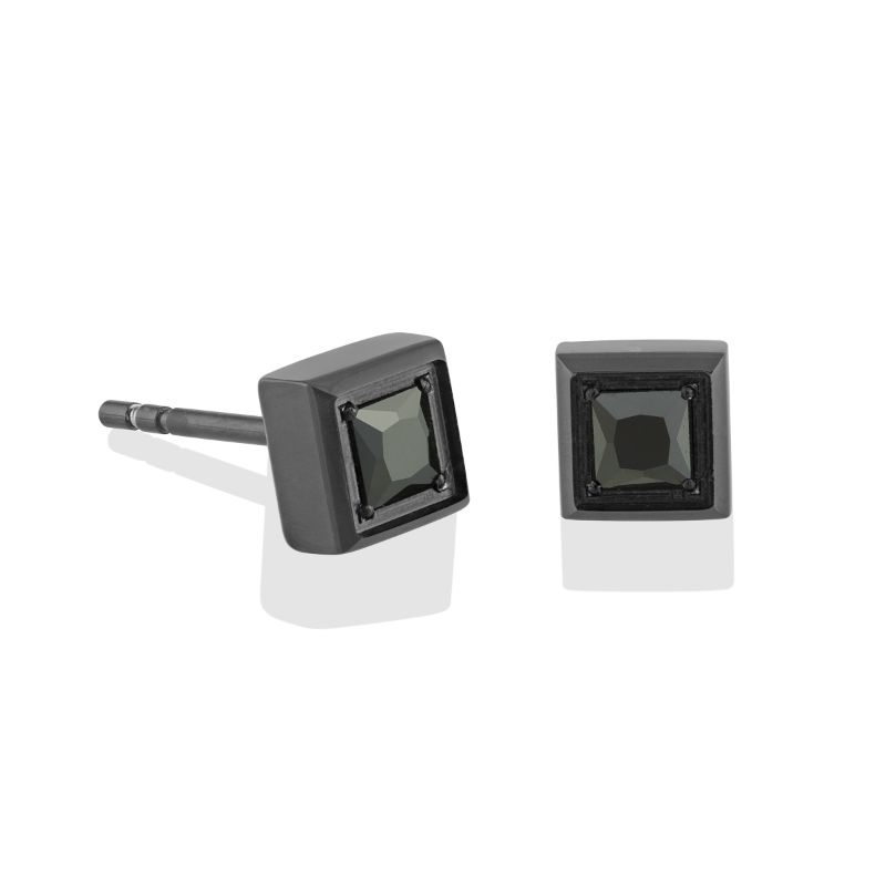 Italgem Steel Earrings