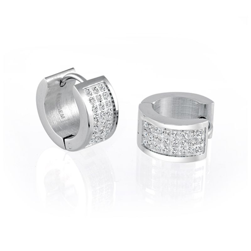 Italgem Steel Earrings