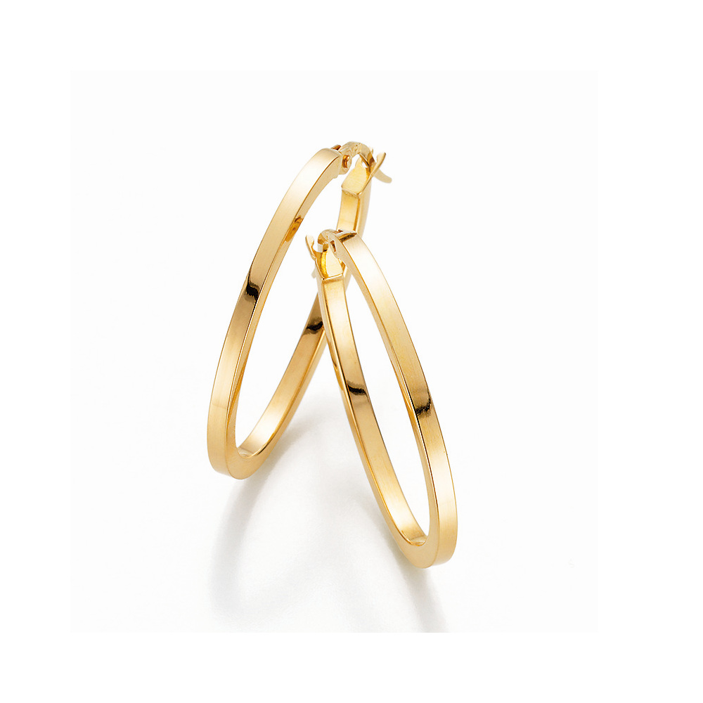 Gold Hoop Earrings
